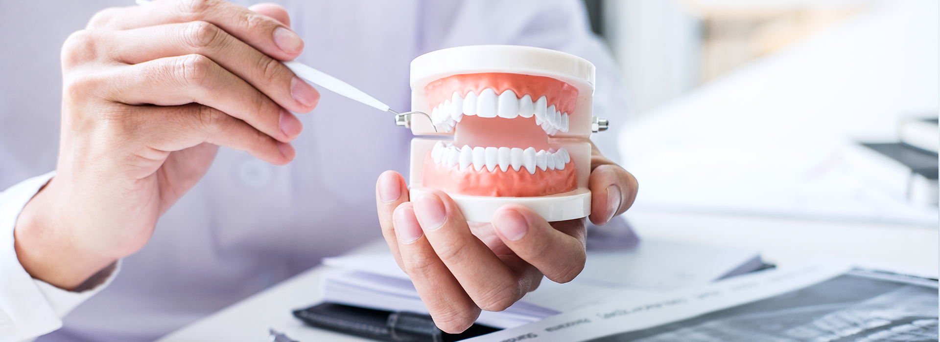 A person s hand holding a white cup with a tooth model inside, placed on a desk in front of them.