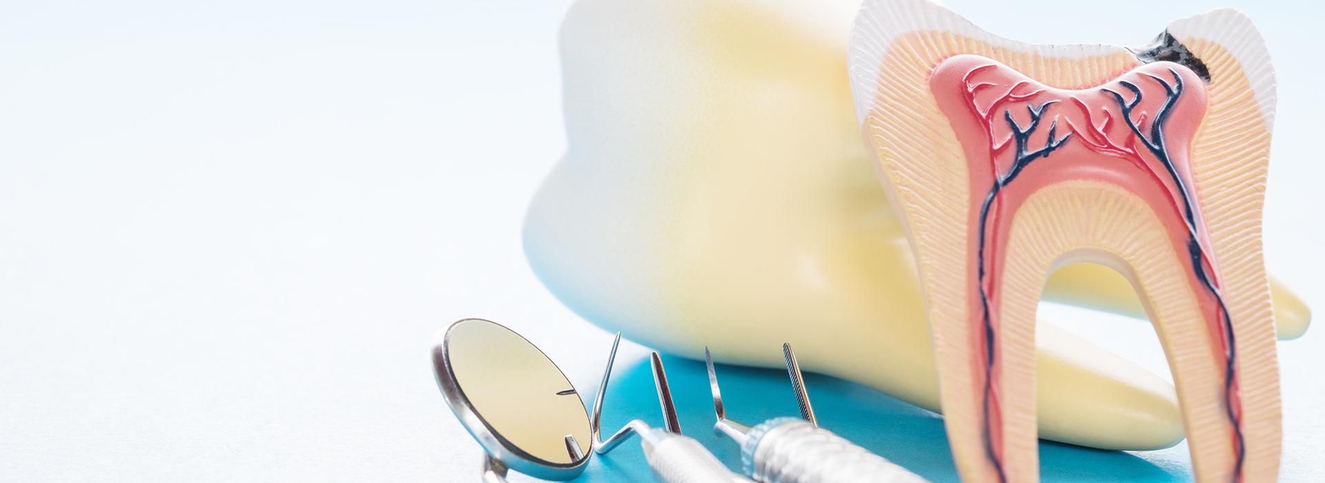 The image displays a dental model with a toothbrush and dental floss, set against a blue background.